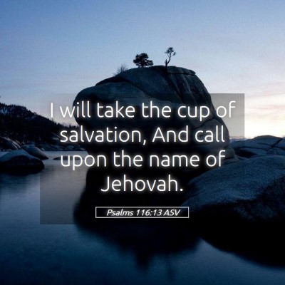 Picture 05 - Psalms 116:13 ASV - I will take the cup of salvation, And call upon - Bible Verse Picture