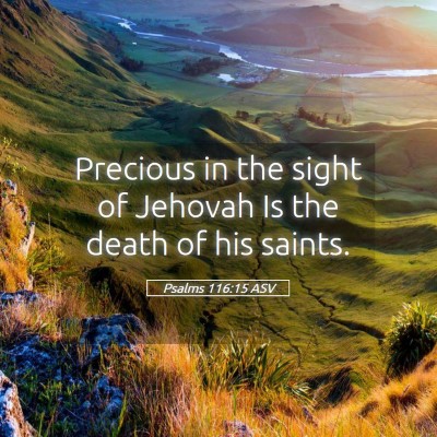 Picture 05 - Psalms 116:15 ASV - Precious in the sight of Jehovah Is the death of - Bible Verse Picture