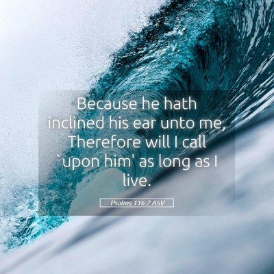 Picture 05 - Psalms 116:2 ASV - Because he hath inclined his ear unto me, - Bible Verse Picture