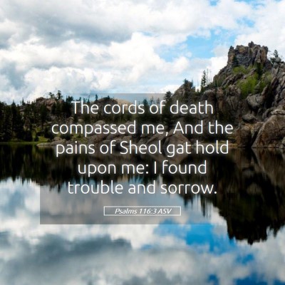 Picture 05 - Psalms 116:3 ASV - The cords of death compassed me, And the pains of - Bible Verse Picture