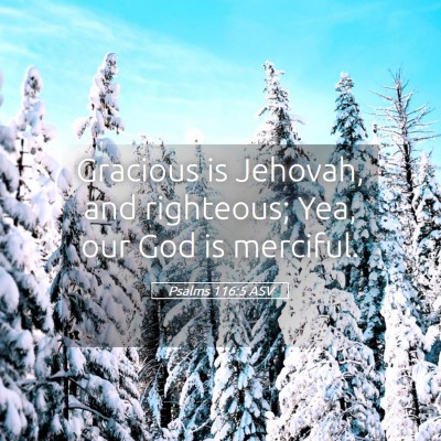 Picture 05 - Psalms 116:5 ASV - Gracious is Jehovah, and righteous; Yea, our God - Bible Verse Picture