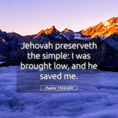 Picture 05 - Psalms 116:6 ASV - Jehovah preserveth the simple: I was brought low, - Bible Verse Picture