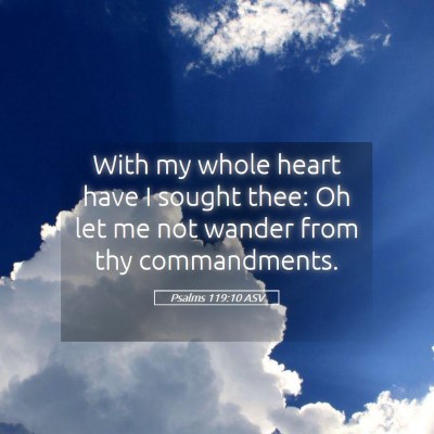 Picture 05 - Psalms 119:10 ASV - With my whole heart have I sought thee: Oh let me - Bible Verse Picture