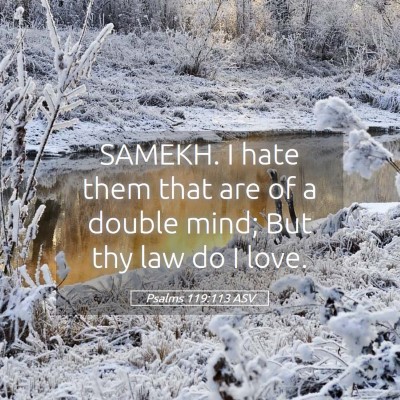 Picture 05 - Psalms 119:113 ASV - SAMEKH. I hate them that are of a double mind; - Bible Verse Picture