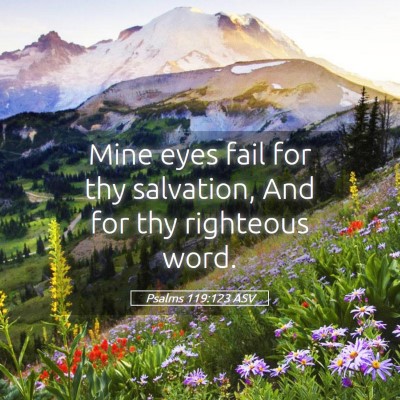 Picture 05 - Psalms 119:123 ASV - Mine eyes fail for thy salvation, And for thy - Bible Verse Picture