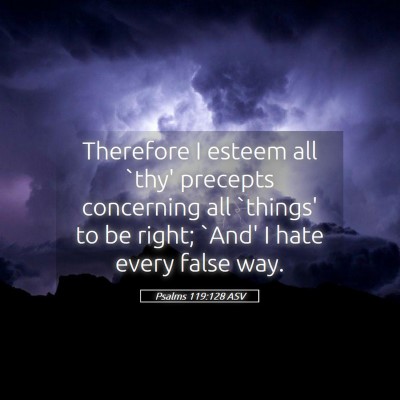 Picture 05 - Psalms 119:128 ASV - Therefore I esteem all `thy' precepts concerning - Bible Verse Picture
