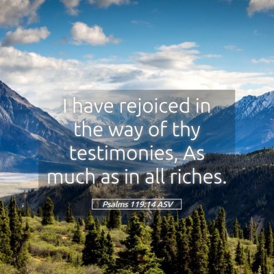 Picture 05 - Psalms 119:14 ASV - I have rejoiced in the way of thy testimonies, As - Bible Verse Picture