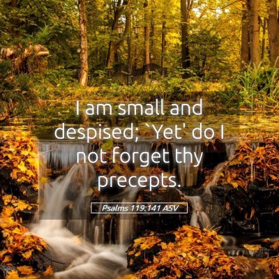 Picture 05 - Psalms 119:141 ASV - I am small and despised; `Yet' do I not forget - Bible Verse Picture