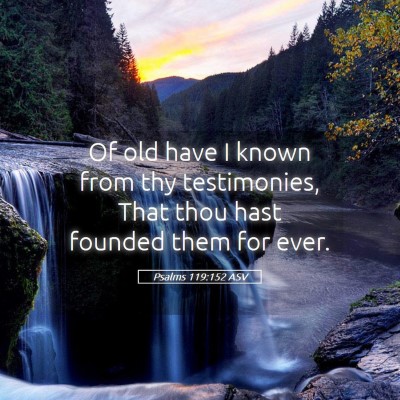 Picture 05 - Psalms 119:152 ASV - Of old have I known from thy testimonies, That - Bible Verse Picture
