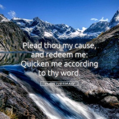 Picture 05 - Psalms 119:154 ASV - Plead thou my cause, and redeem me: Quicken me - Bible Verse Picture