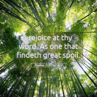 Picture 05 - Psalms 119:162 ASV - I rejoice at thy word, As one that findeth great - Bible Verse Picture