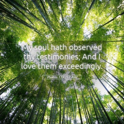 Picture 05 - Psalms 119:167 ASV - My soul hath observed thy testimonies; And I love - Bible Verse Picture