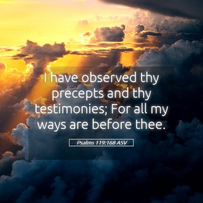 Picture 05 - Psalms 119:168 ASV - I have observed thy precepts and thy testimonies; - Bible Verse Picture