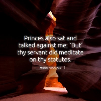 Picture 05 - Psalms 119:23 ASV - Princes also sat and talked against me; `But' thy - Bible Verse Picture