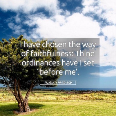 Picture 05 - Psalms 119:30 ASV - I have chosen the way of faithfulness: Thine - Bible Verse Picture