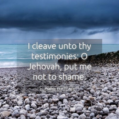 Picture 05 - Psalms 119:31 ASV - I cleave unto thy testimonies: O Jehovah, put me - Bible Verse Picture