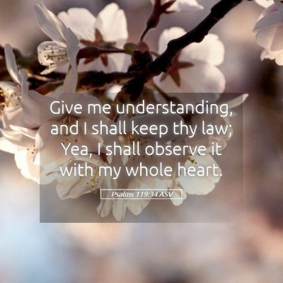 Picture 05 - Psalms 119:34 ASV - Give me understanding, and I shall keep thy law; - Bible Verse Picture
