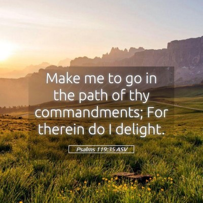 Picture 05 - Psalms 119:35 ASV - Make me to go in the path of thy commandments; - Bible Verse Picture