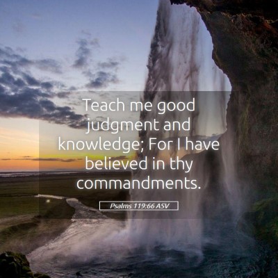 Picture 05 - Psalms 119:66 ASV - Teach me good judgment and knowledge; For I have - Bible Verse Picture