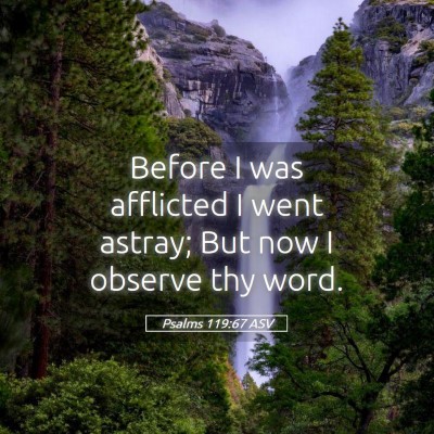 Picture 05 - Psalms 119:67 ASV - Before I was afflicted I went astray; But now I - Bible Verse Picture