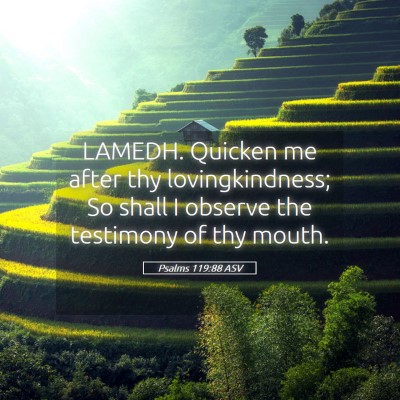 Picture 05 - Psalms 119:88 ASV - LAMEDH. Quicken me after thy lovingkindness; So - Bible Verse Picture
