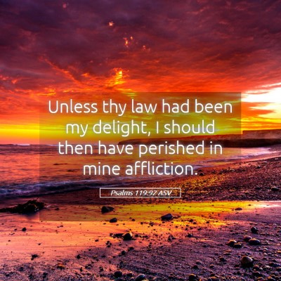 Picture 05 - Psalms 119:92 ASV - Unless thy law had been my delight, I should then - Bible Verse Picture