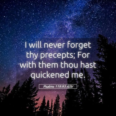 Picture 05 - Psalms 119:93 ASV - I will never forget thy precepts; For with them - Bible Verse Picture