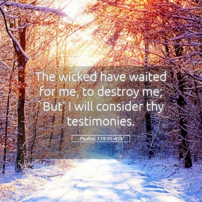 Picture 05 - Psalms 119:95 ASV - The wicked have waited for me, to destroy me; - Bible Verse Picture