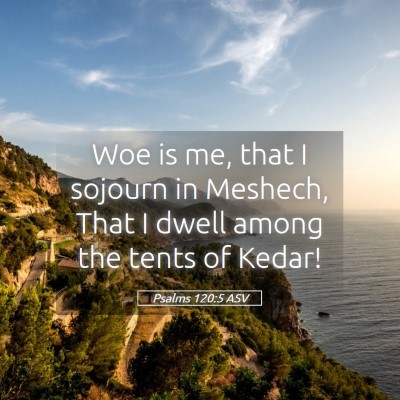 Picture 05 - Psalms 120:5 ASV - Woe is me, that I sojourn in Meshech, That I - Bible Verse Picture