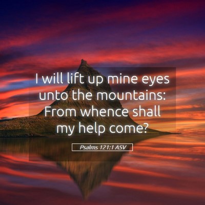 Picture 05 - Psalms 121:1 ASV - I will lift up mine eyes unto the mountains: From - Bible Verse Picture
