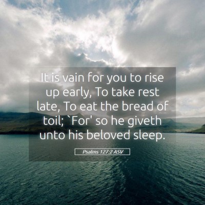 Picture 05 - Psalms 127:2 ASV - It is vain for you to rise up early, To take rest - Bible Verse Picture