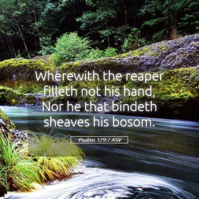 Picture 05 - Psalms 129:7 ASV - Wherewith the reaper filleth not his hand, Nor he - Bible Verse Picture