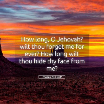 Picture 05 - Psalms 13:1 ASV - How long, O Jehovah? wilt thou forget me for - Bible Verse Picture