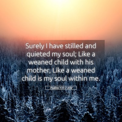 Picture 05 - Psalms 131:2 ASV - Surely I have stilled and quieted my soul; Like a - Bible Verse Picture