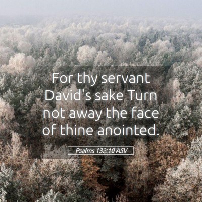 Picture 05 - Psalms 132:10 ASV - For thy servant David's sake Turn not away the - Bible Verse Picture