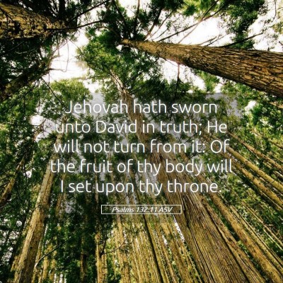 Picture 05 - Psalms 132:11 ASV - Jehovah hath sworn unto David in truth; He will - Bible Verse Picture