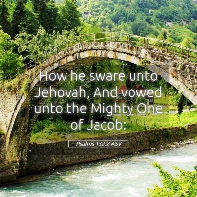 Picture 05 - Psalms 132:2 ASV - How he sware unto Jehovah, And vowed unto the - Bible Verse Picture