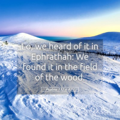Picture 05 - Psalms 132:6 ASV - Lo, we heard of it in Ephrathah: We found it in - Bible Verse Picture
