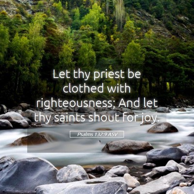 Picture 05 - Psalms 132:9 ASV - Let thy priest be clothed with righteousness; And - Bible Verse Picture