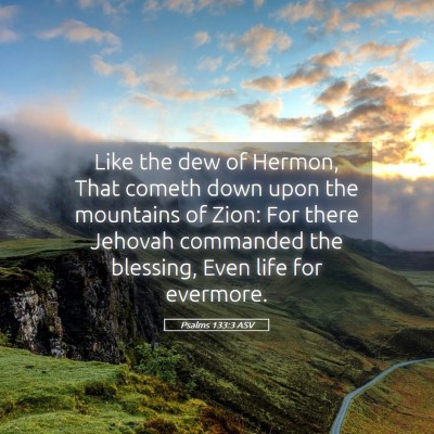 Picture 05 - Psalms 133:3 ASV - Like the dew of Hermon, That cometh down upon the - Bible Verse Picture