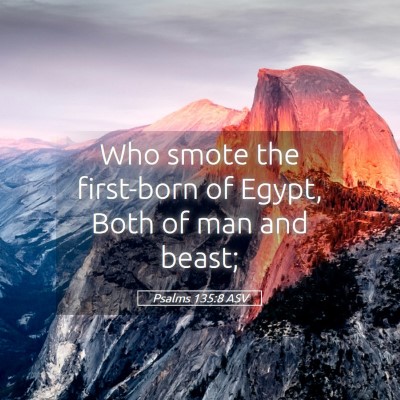 Picture 05 - Psalms 135:8 ASV - Who smote the first-born of Egypt, Both of man - Bible Verse Picture