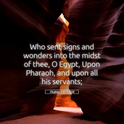 Picture 05 - Psalms 135:9 ASV - Who sent signs and wonders into the midst of - Bible Verse Picture