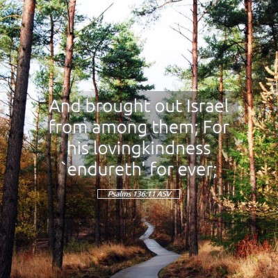 Picture 05 - Psalms 136:11 ASV - And brought out Israel from among them; For his - Bible Verse Picture