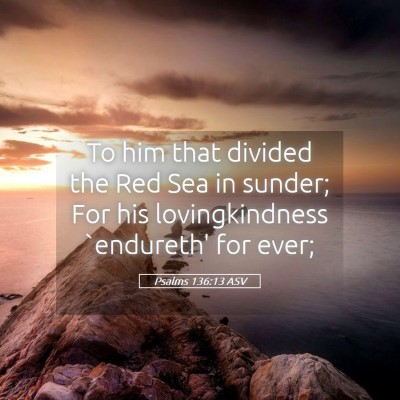 Picture 05 - Psalms 136:13 ASV - To him that divided the Red Sea in sunder; For - Bible Verse Picture