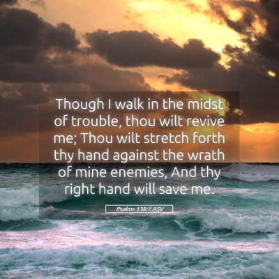 Picture 05 - Psalms 138:7 ASV - Though I walk in the midst of trouble, thou wilt - Bible Verse Picture