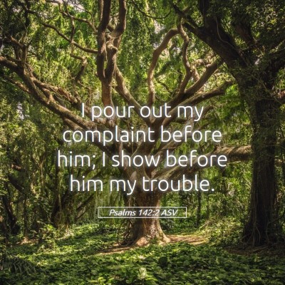 Picture 05 - Psalms 142:2 ASV - I pour out my complaint before him; I show before - Bible Verse Picture