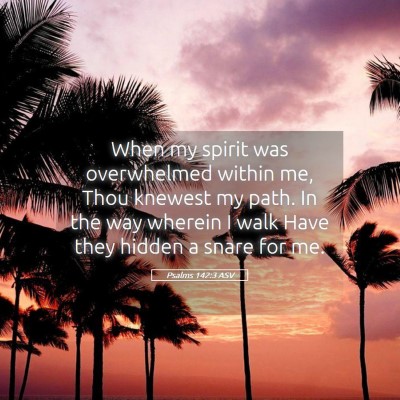 Picture 05 - Psalms 142:3 ASV - When my spirit was overwhelmed within me, Thou - Bible Verse Picture