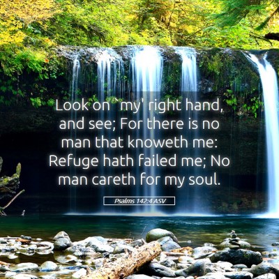 Picture 05 - Psalms 142:4 ASV - Look on `my' right hand, and see; For there is no - Bible Verse Picture