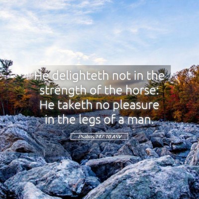 Picture 05 - Psalms 147:10 ASV - He delighteth not in the strength of the horse: - Bible Verse Picture
