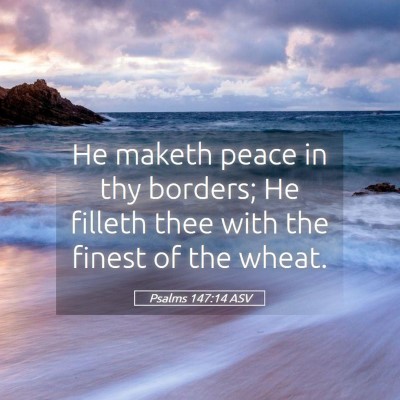 Picture 05 - Psalms 147:14 ASV - He maketh peace in thy borders; He filleth thee - Bible Verse Picture